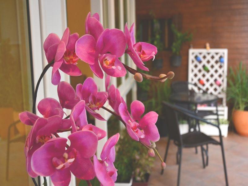Seedling House Pattaya Exterior foto